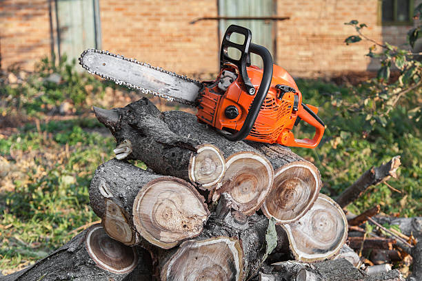 Tree Service